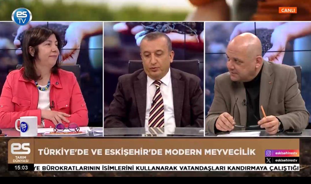 Öne çıkan görsel