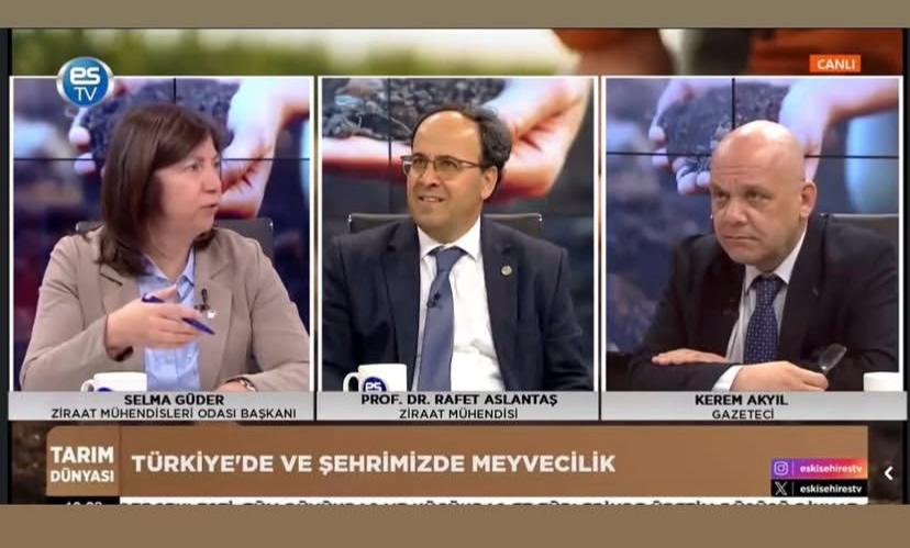 Öne çıkan görsel