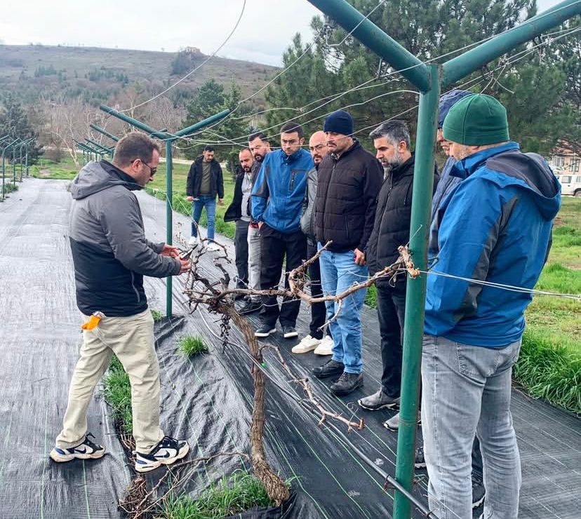 Öne çıkan görsel